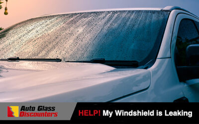 Help! My Windshield is Leaking